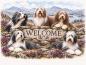 Preview: Bearded Collie WELCOME Fußmatte